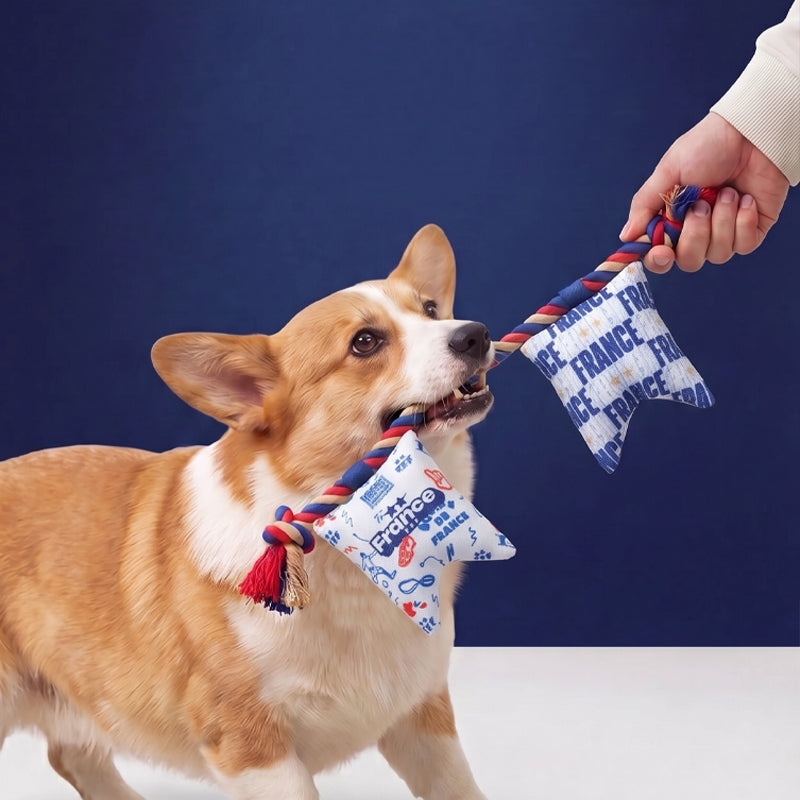 France FFF Pet Flag Cotton Rope Toy